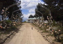 Protea Hill Farm Entrance